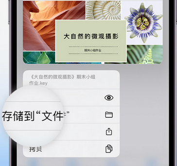 临潭apple维修中心分享iPhone文件应用中存储和找到下载文件