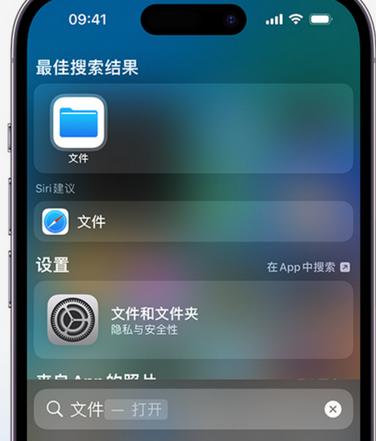 临潭apple维修中心分享iPhone文件应用中存储和找到下载文件 