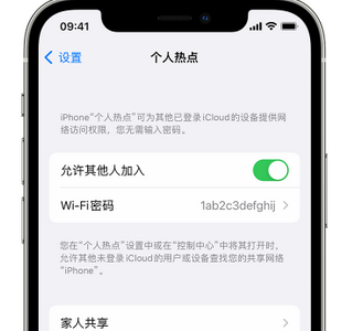 临潭apple服务站点分享iPhone上个人热点丢失了怎么办 