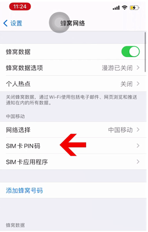 临潭苹果14维修网分享如何给iPhone14的SIM卡设置密码 