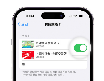 临潭apple维修点分享iPhone上更换Apple Pay快捷交通卡手绘卡面 