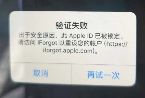 临潭iPhone维修分享iPhone上正常登录或使用AppleID怎么办 