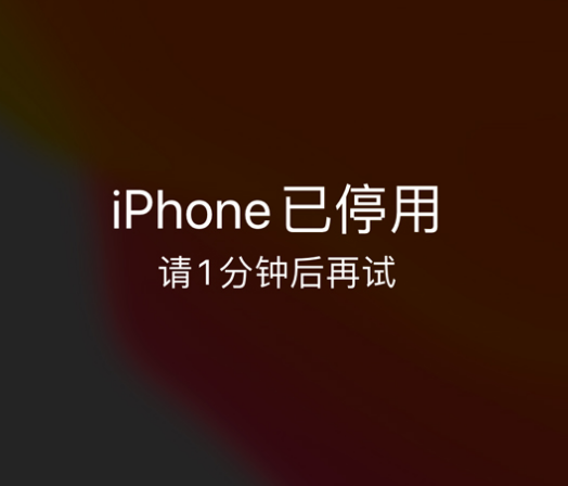 临潭苹果手机维修分享:iPhone 显示“不可用”或“已停用”怎么办？还能保留数据吗？ 