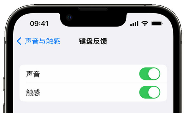 临潭苹果手机维修分享iPhone 14触感键盘使用方法 