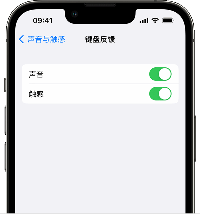 临潭苹果14维修店分享如何在 iPhone 14 机型中使用触感键盘 