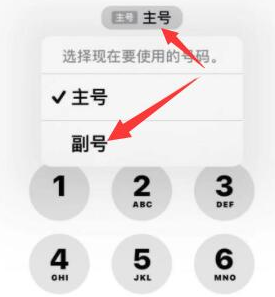 临潭苹果14维修店分享iPhone 14 Pro Max使用副卡打电话的方法 