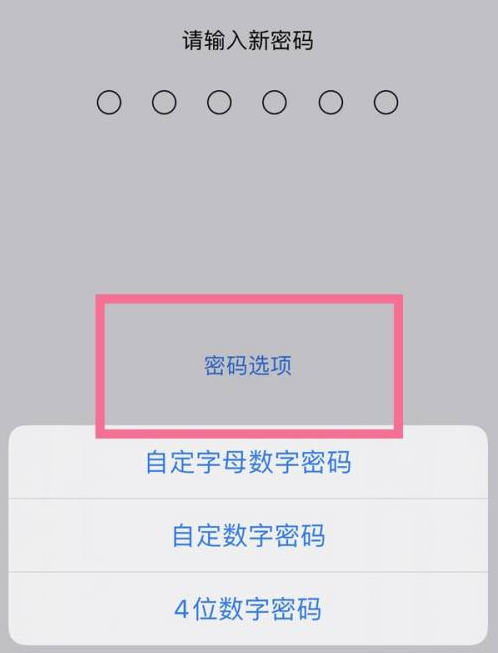 临潭苹果14维修分享iPhone 14plus设置密码的方法 