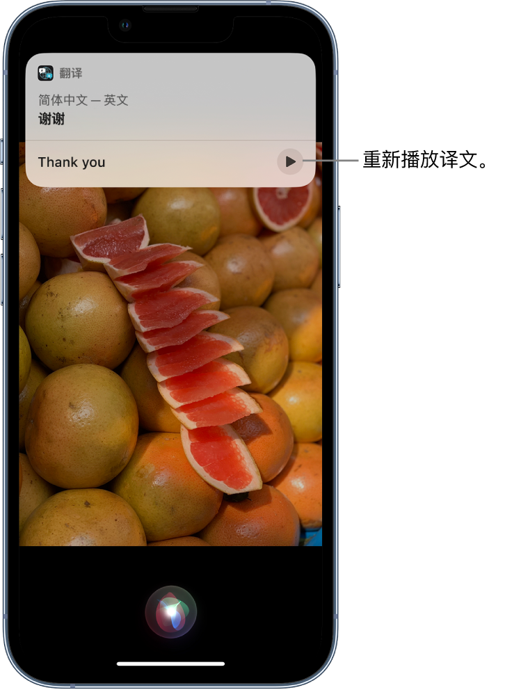 临潭苹果14维修分享 iPhone 14 机型中使用 Siri：了解 Siri 能帮你做什么 