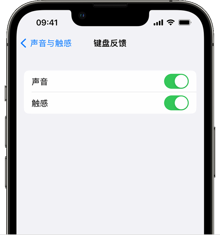 临潭苹果14维修分享iPhone 14 系列机型如何开启键盘声音或触感反馈 