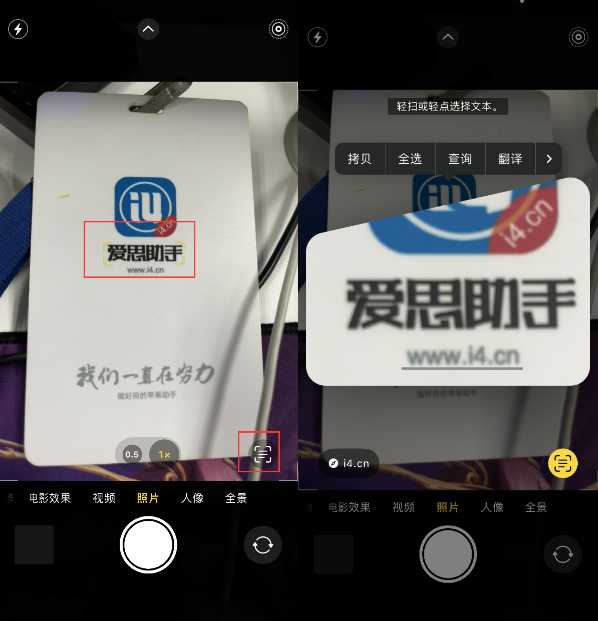 临潭苹果手机维修分享升级iOS 16后如何通过相机翻译文本 