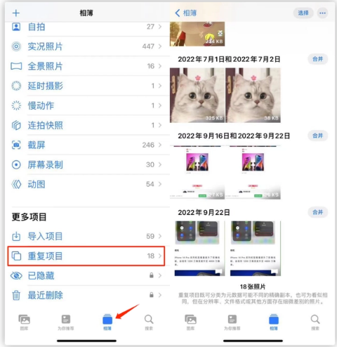 临潭苹果手机维修分享iOS 16 中相册重复项目功能使用方法 