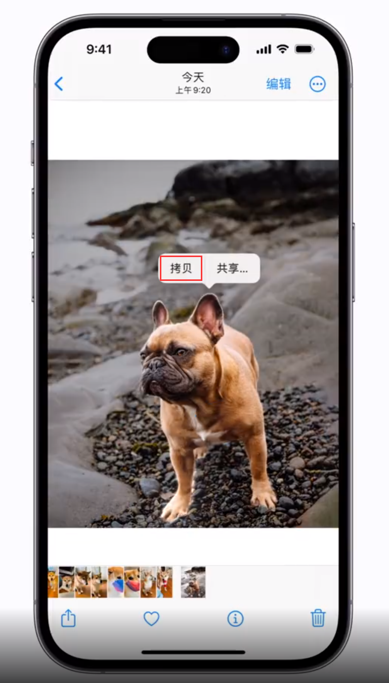 临潭苹果手机维修分享 iOS 16 自带一键抠图功能 