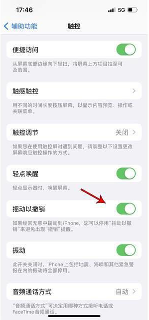 临潭苹果手机维修分享iPhone手机如何设置摇一摇删除文字 