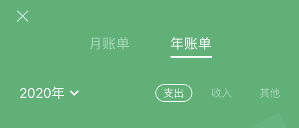 临潭苹果手机维修分享如何在 iPhone 上查看支付宝和微信年支出账单 